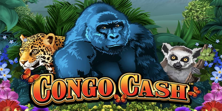 Congo Cash: Petualangan Emas di Hutan Afrika